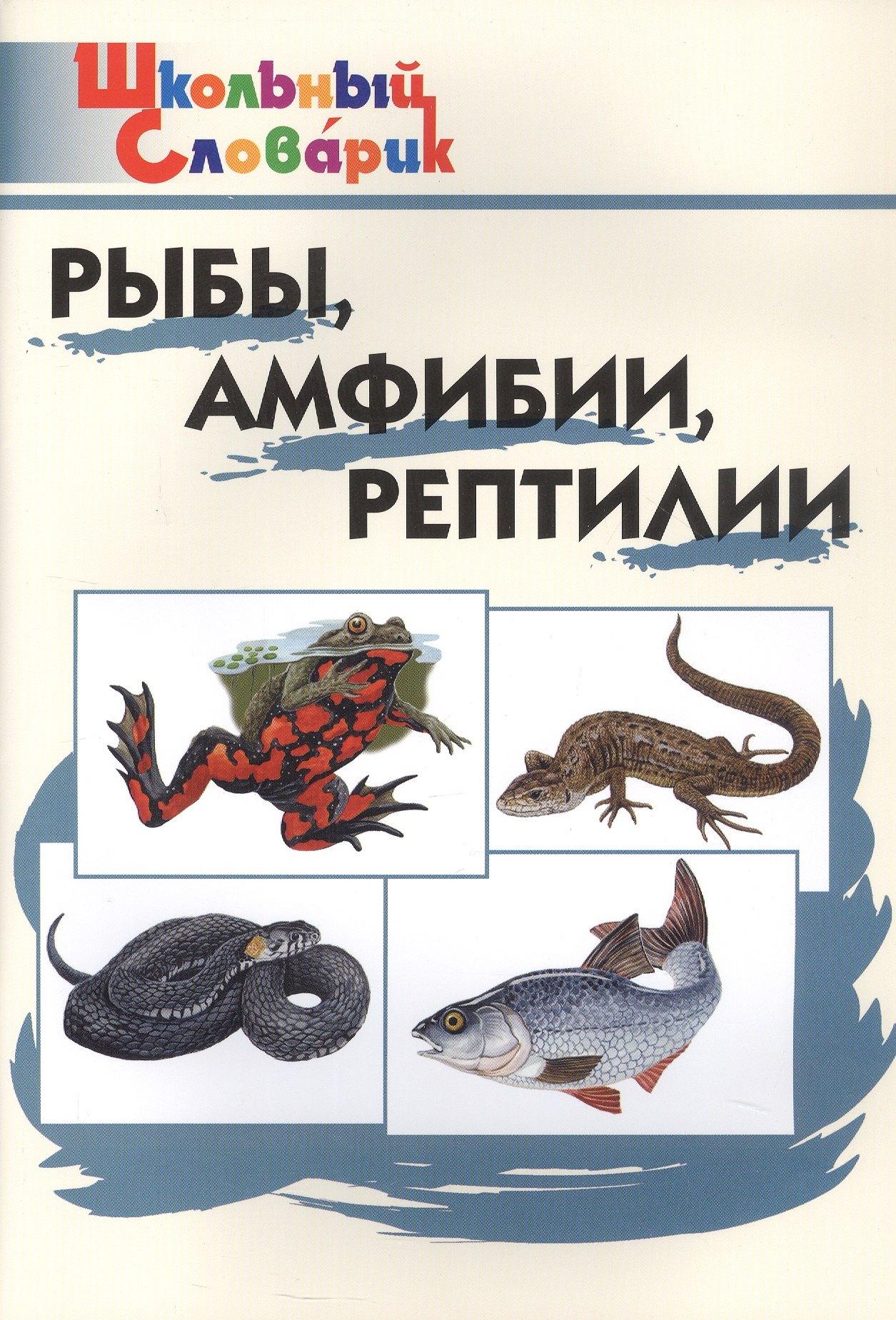 https://ndc.book24.ru/pim/products/images/f3/cd/019639d7-34bc-72ae-879f-b36514b9f3cd.jpg