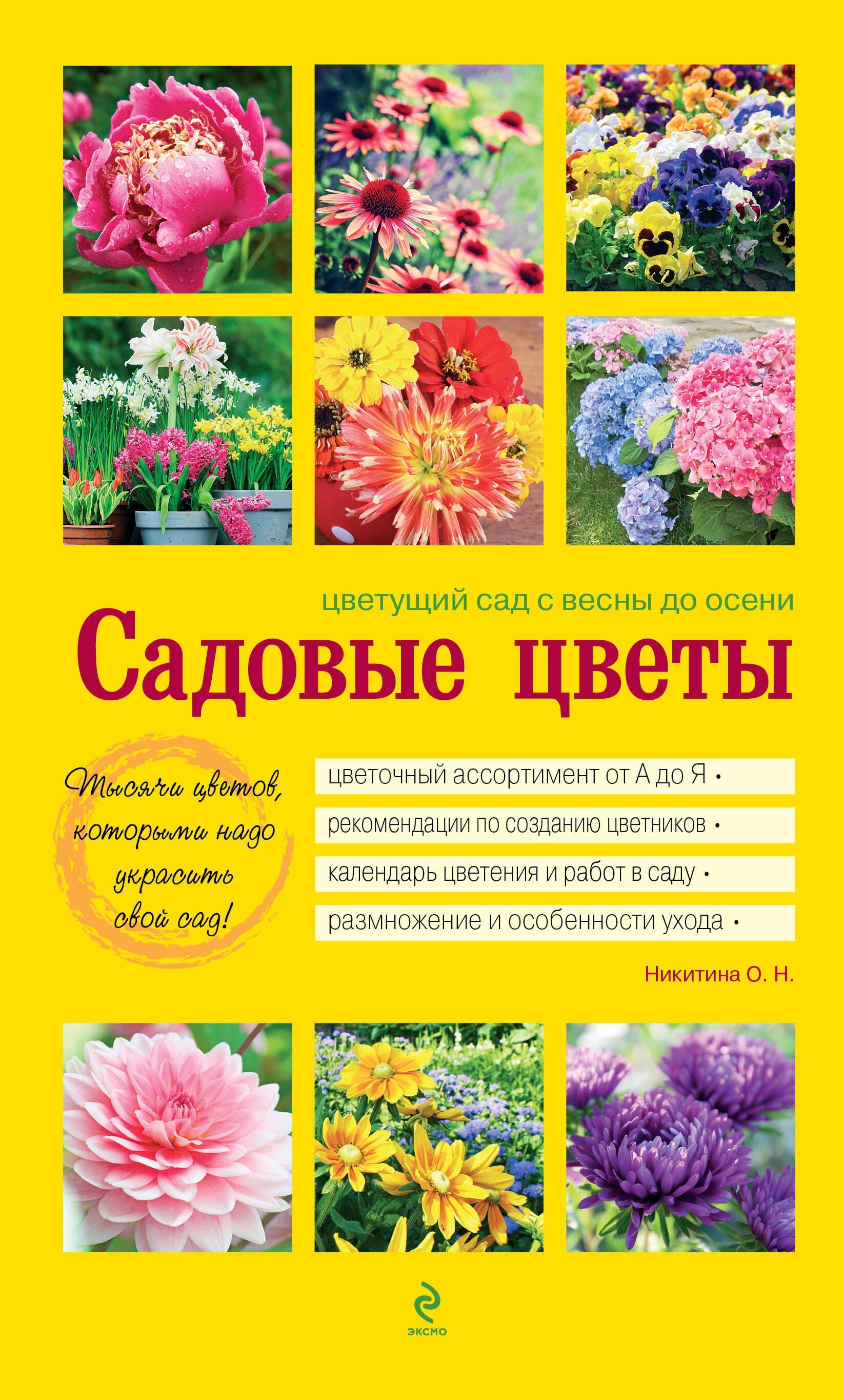 https://ndc.book24.ru/pim/products/images/f6/86/019393ee-b803-74ab-8976-8c2cb855f686.jpg