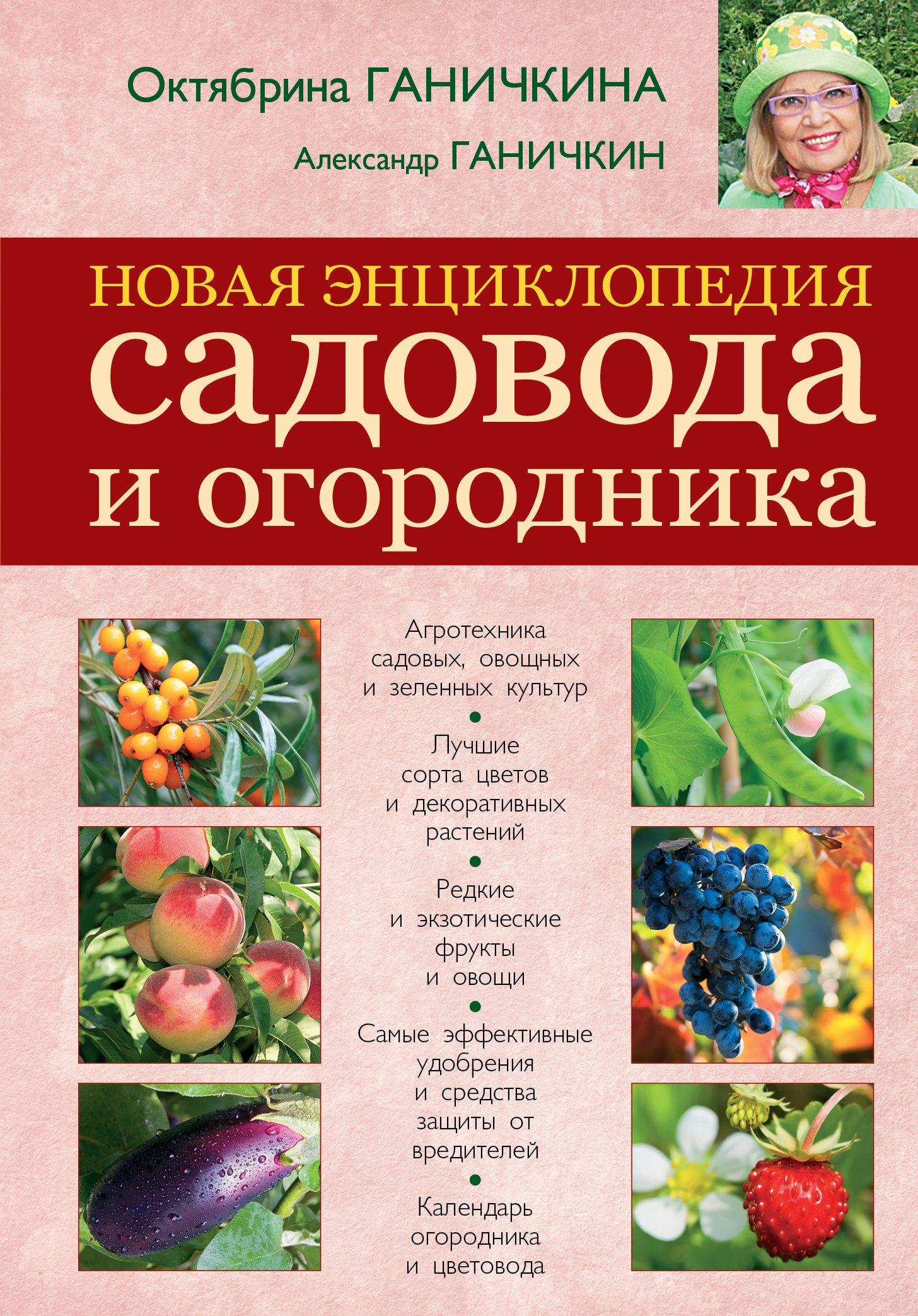 https://ndc.book24.ru/pim/products/images/fd/83/01939350-2b42-7d6d-ba3c-ed5e05a6fd83.jpg