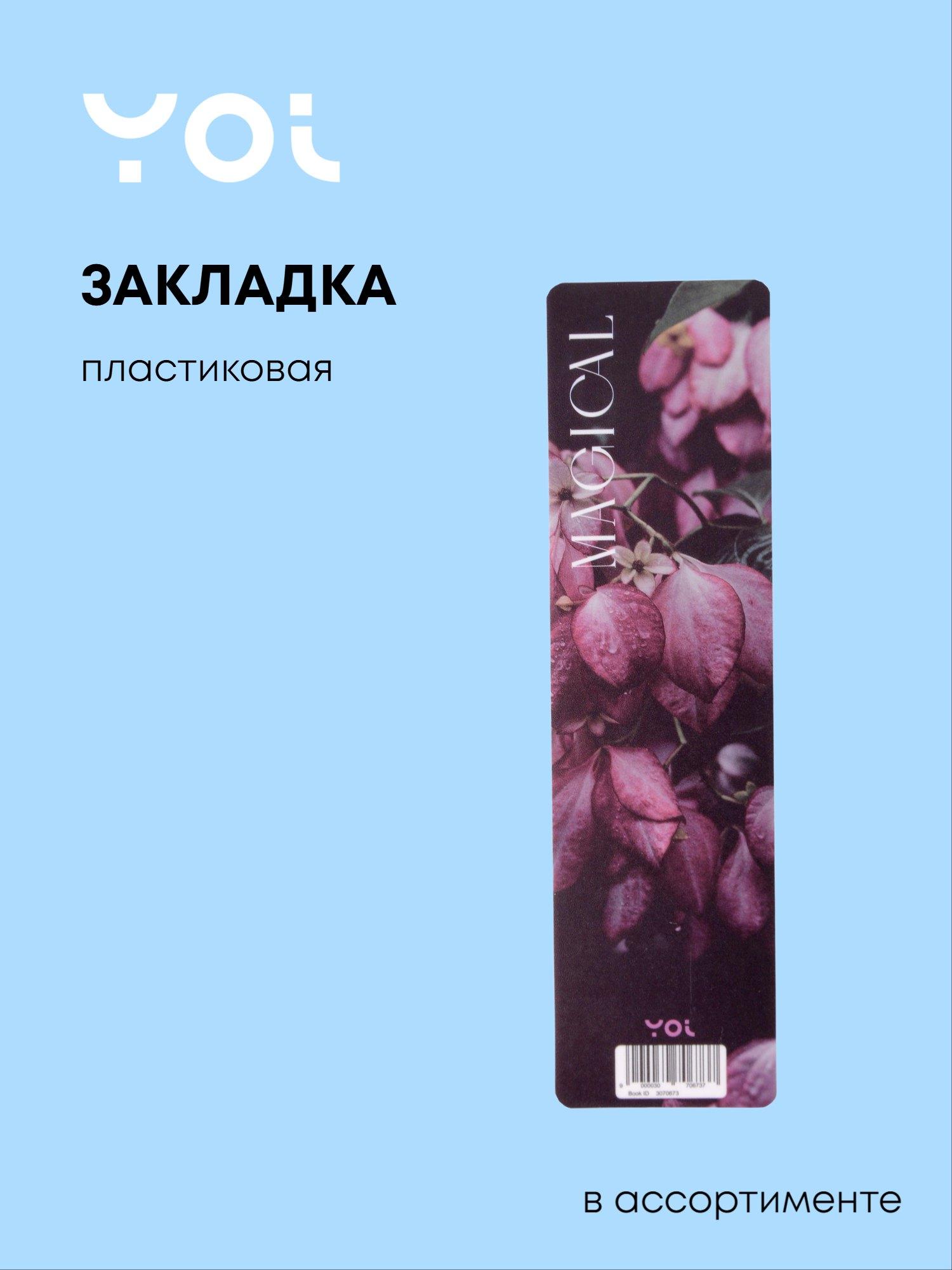 https://ndc.book24.ru/pim/products/images/ff/45/019ae5f4-58ac-7c38-a07e-f0a74df7ff45.jpg