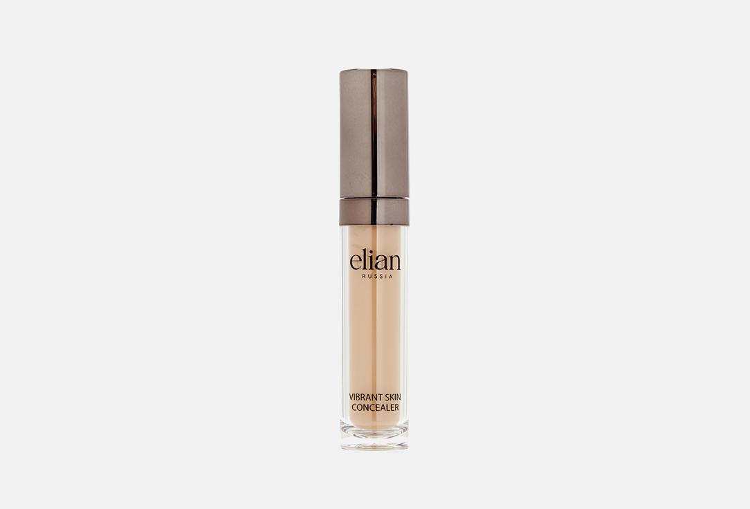 Vibrant Skin Concealer. Цвет: 04 Bronze