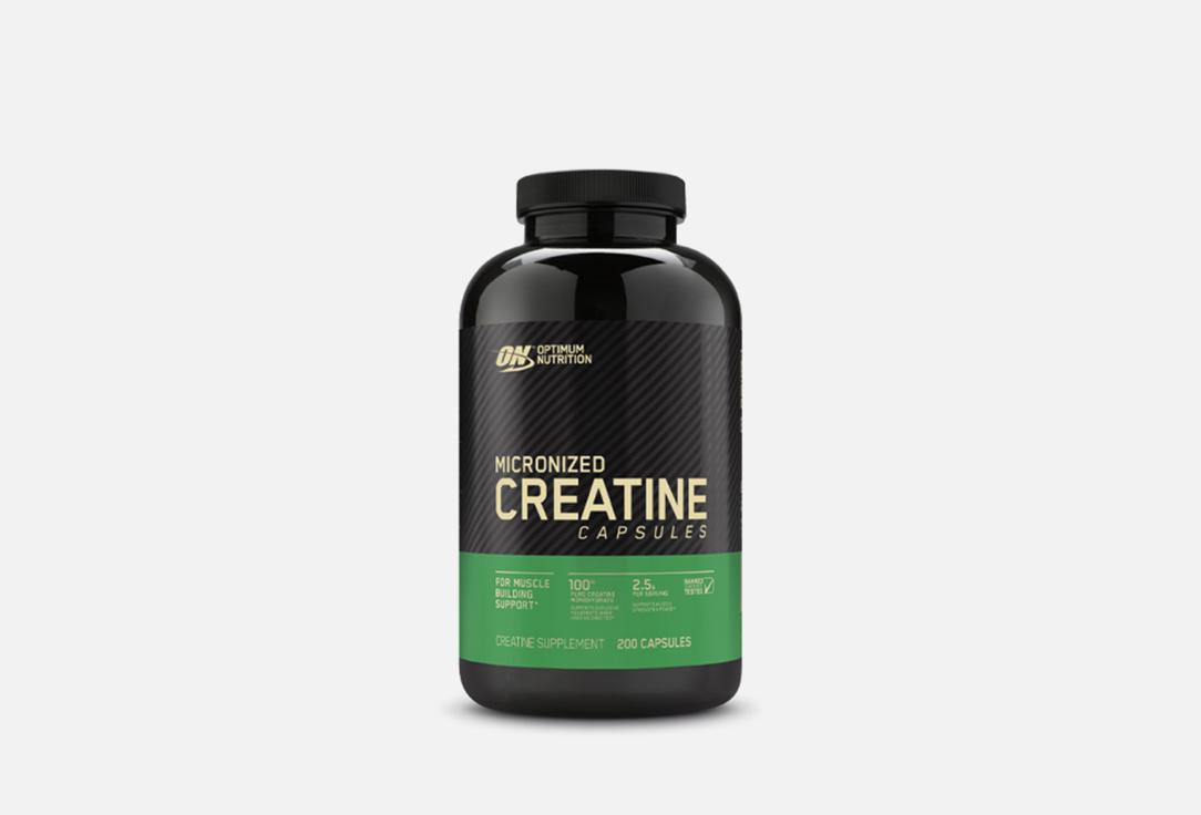 Optimum Nutrition | Micronized Creatine. Цвет: