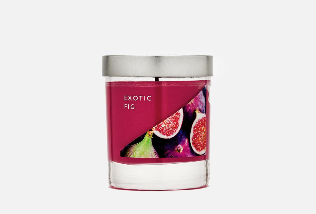 Exotic Fig. 1 шт