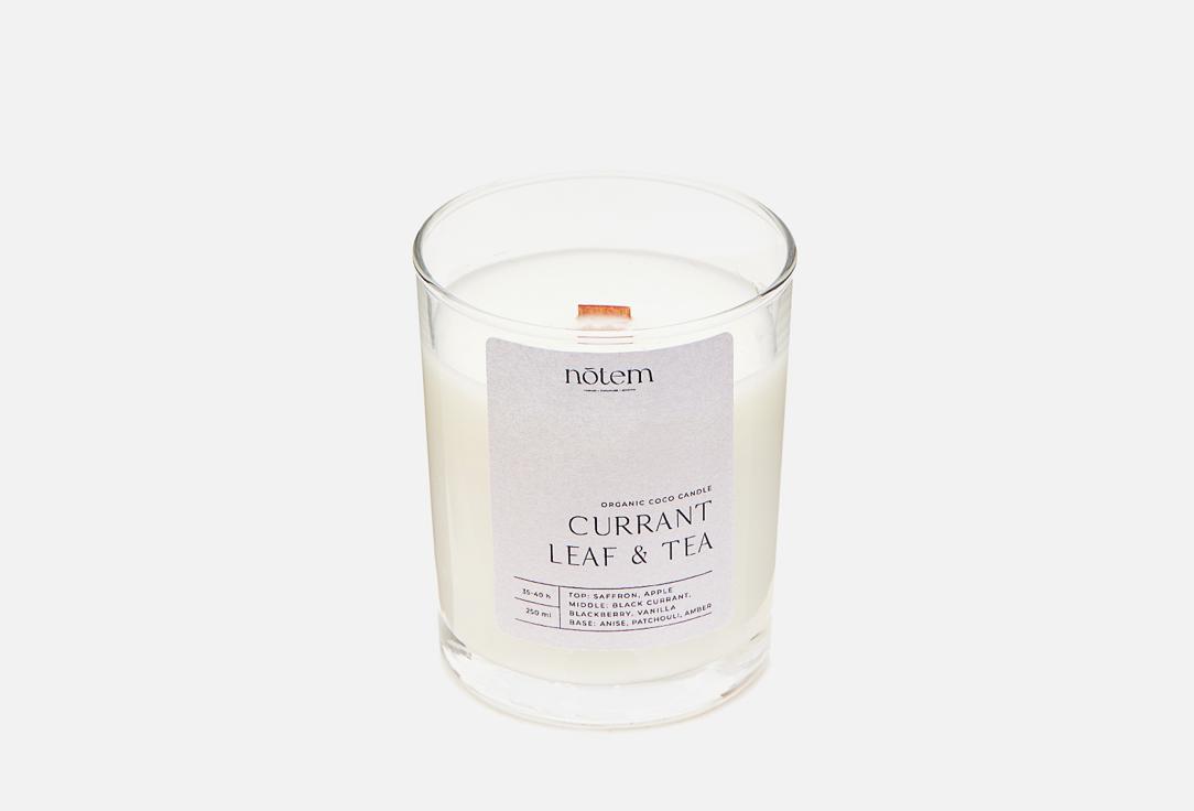 Aroma Candle | Currant leaf & tea. 300 г