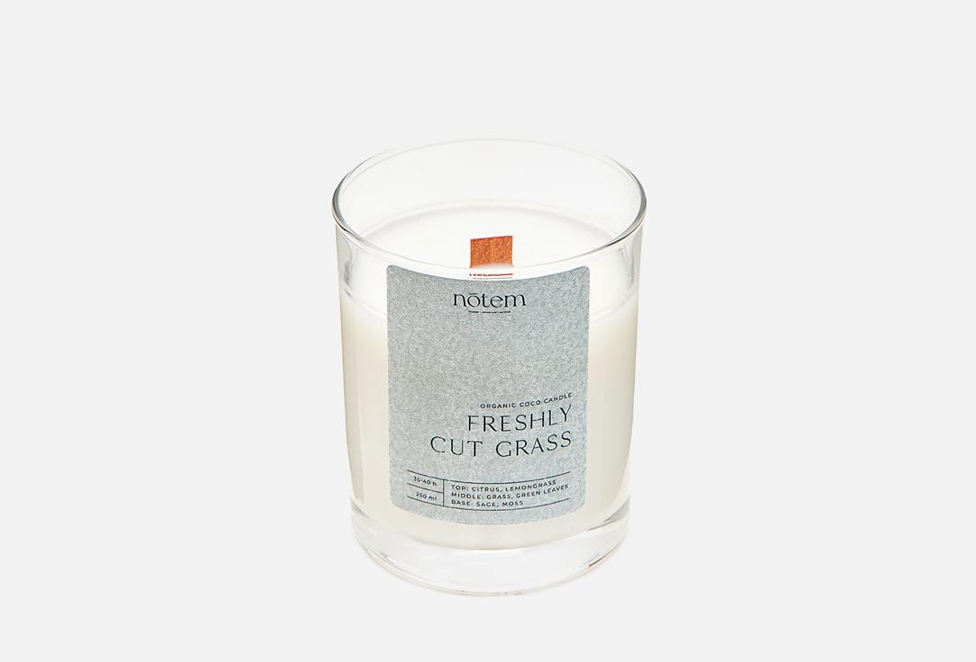 Aroma Candle | Freshly cut grass. 300 г