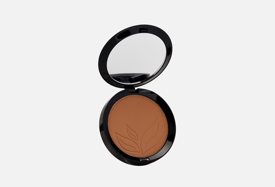 Resplendent Bronzing powder. Цвет: 1 бледно-коричневый