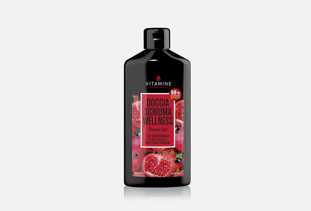 Vitamine-welness Pomegranate and Black currant. 400 мл