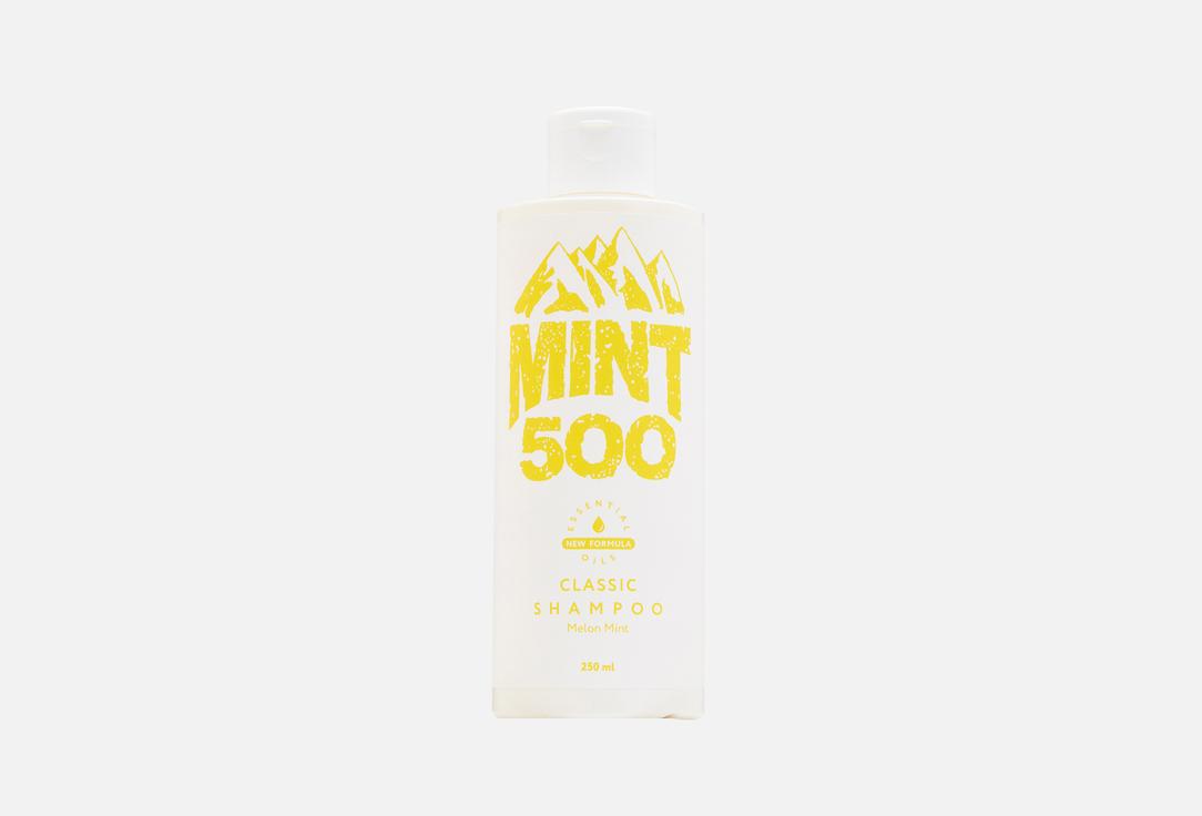 Mint500 | Melon. 250 мл