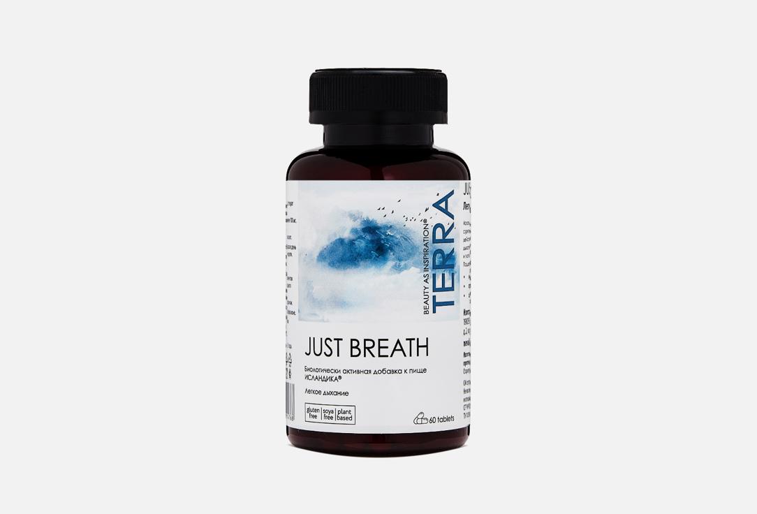 TERRA | Just Breath. Цвет: