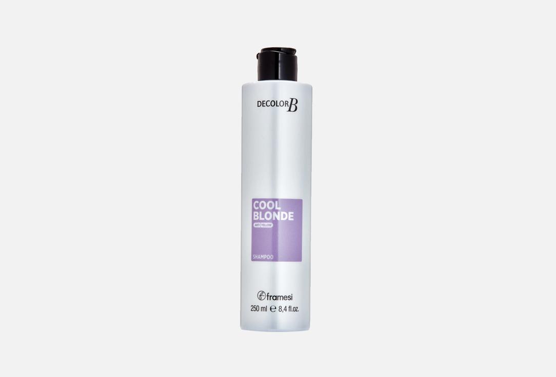 DECOLOR COOL BLONDE SHAMPOO. Цвет: