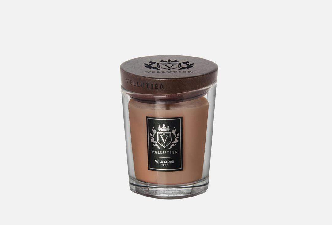 Vellutier | Wild Cedar Tree. Цвет: