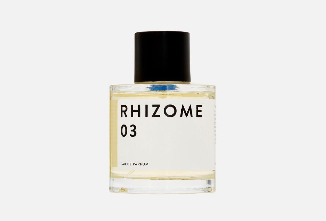 RHIZOME | 03. Цвет: