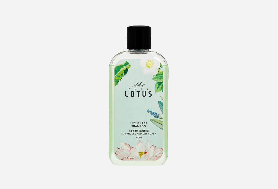 THE PURE LOTUS | Lotus Leaf Shampoo for Middle & Dry scalp. Цвет: