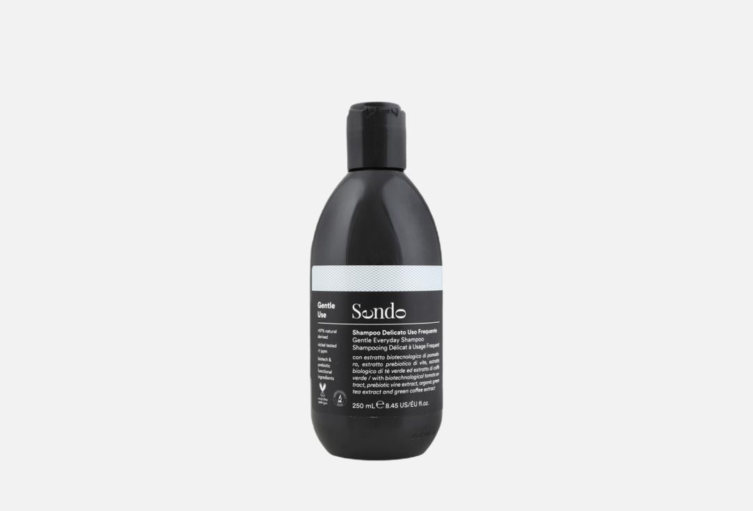 Gentle Everyday Shampoo. 250 мл