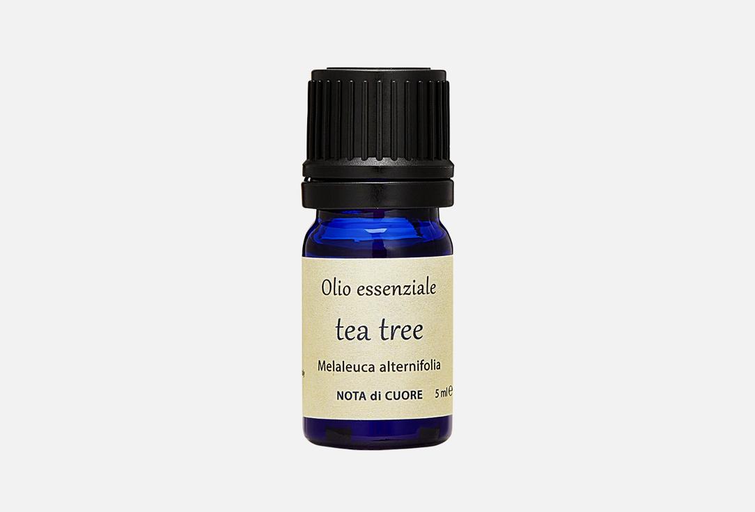 Tea Tree. Цвет: