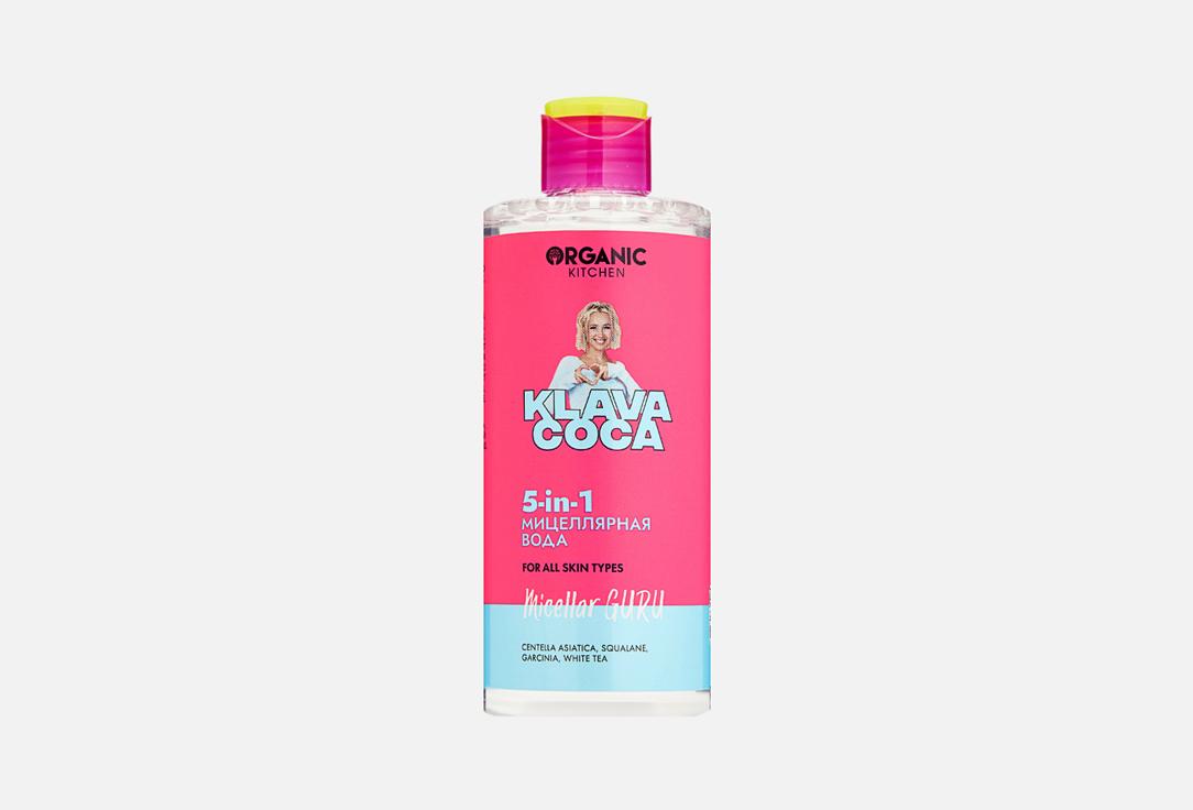 Micellar Guru by Klava Coca. 300 мл