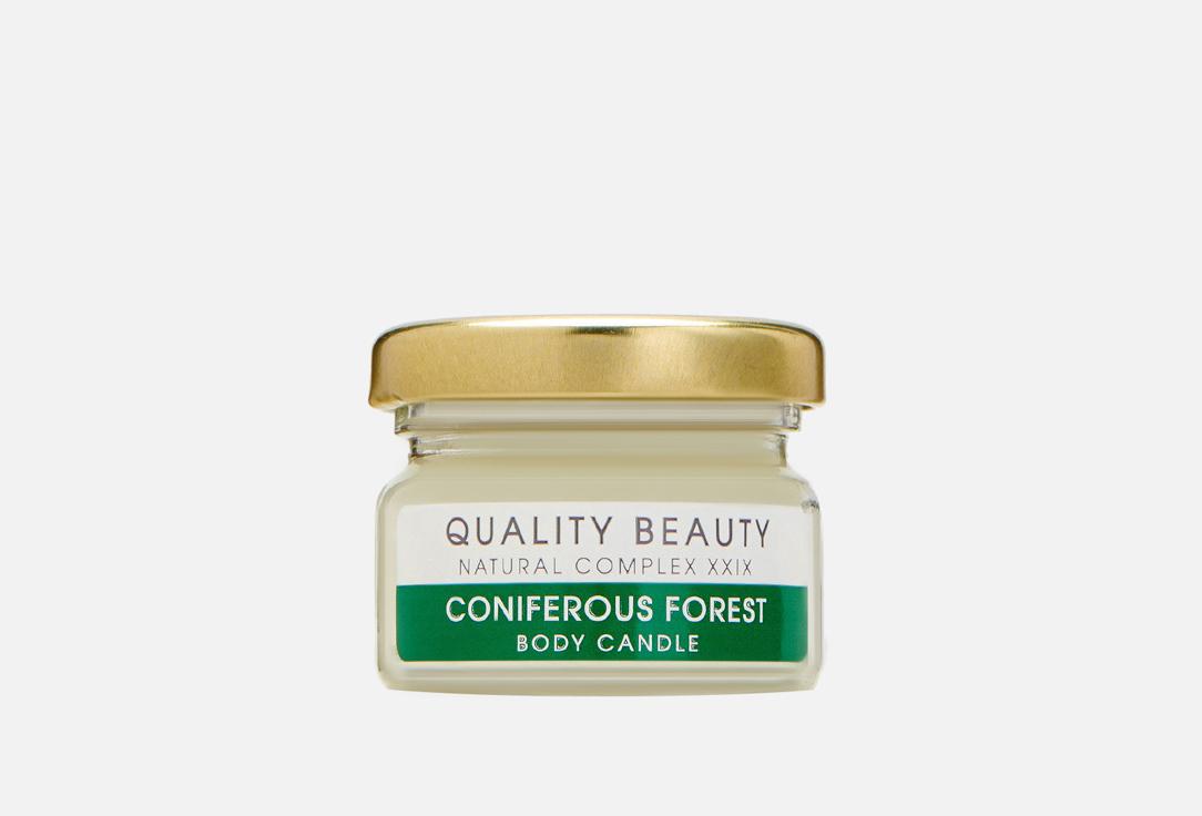 QB TECHNOLOGY COSMETICS | Coniferous forest. Цвет: