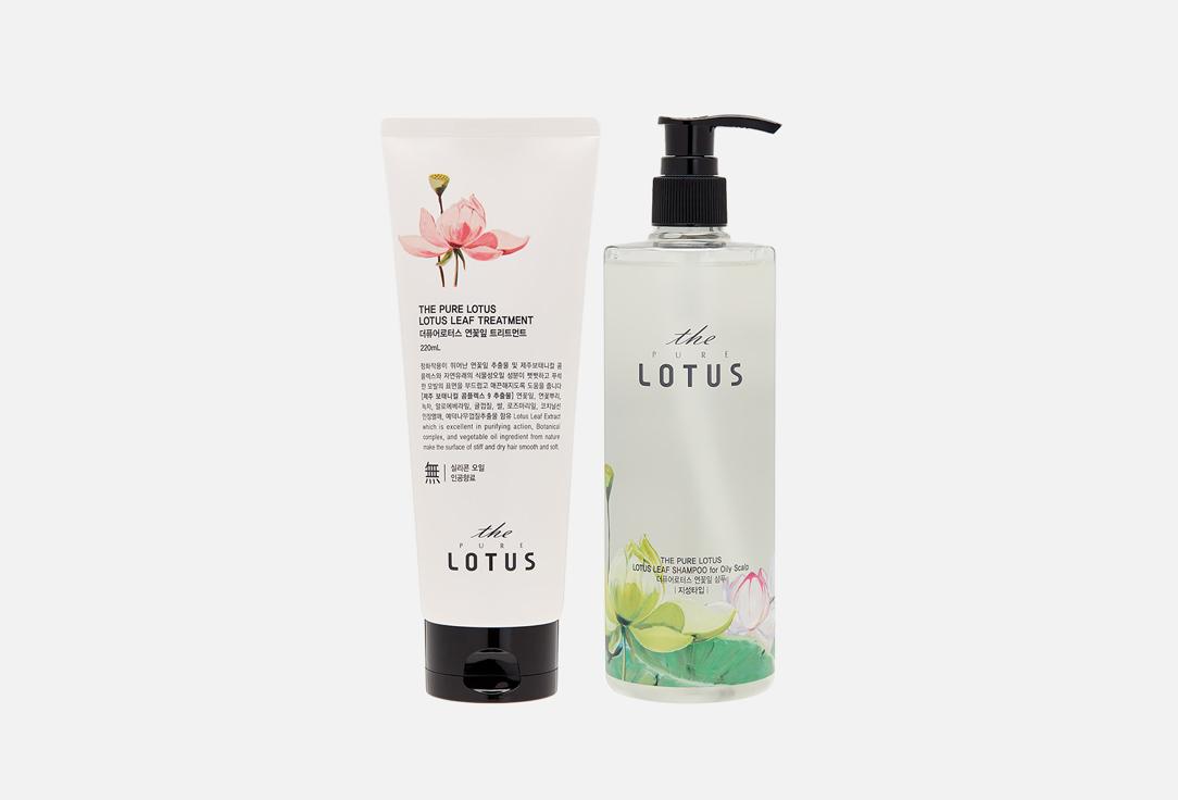 Botanical & vegan non-silicon hair care set. Цвет: