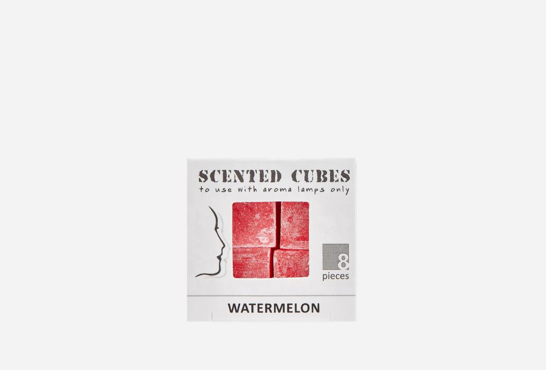 Scented Cubes | Watermelon