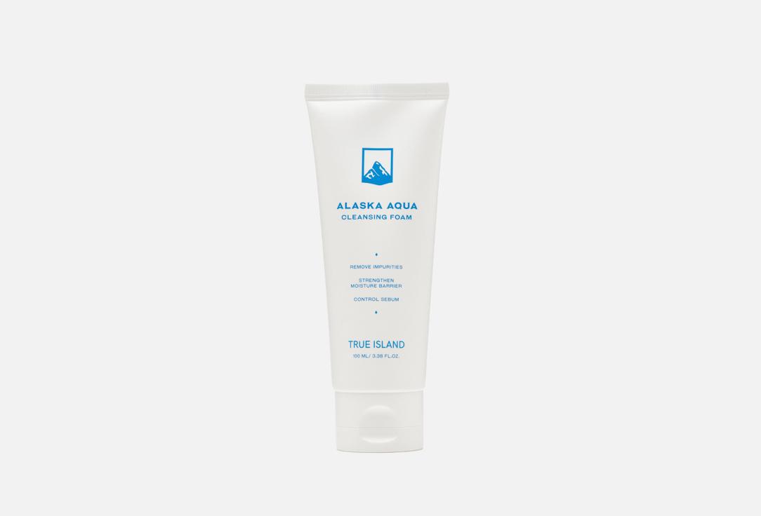 True Island | ALASKA GLACIER WATER AQUA CLEANSING FOAM. Цвет: