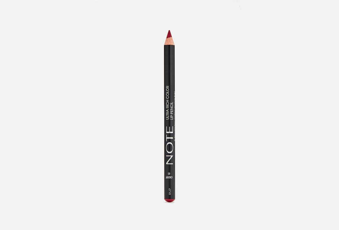 ultra rich color lip pencil. Цвет: 05