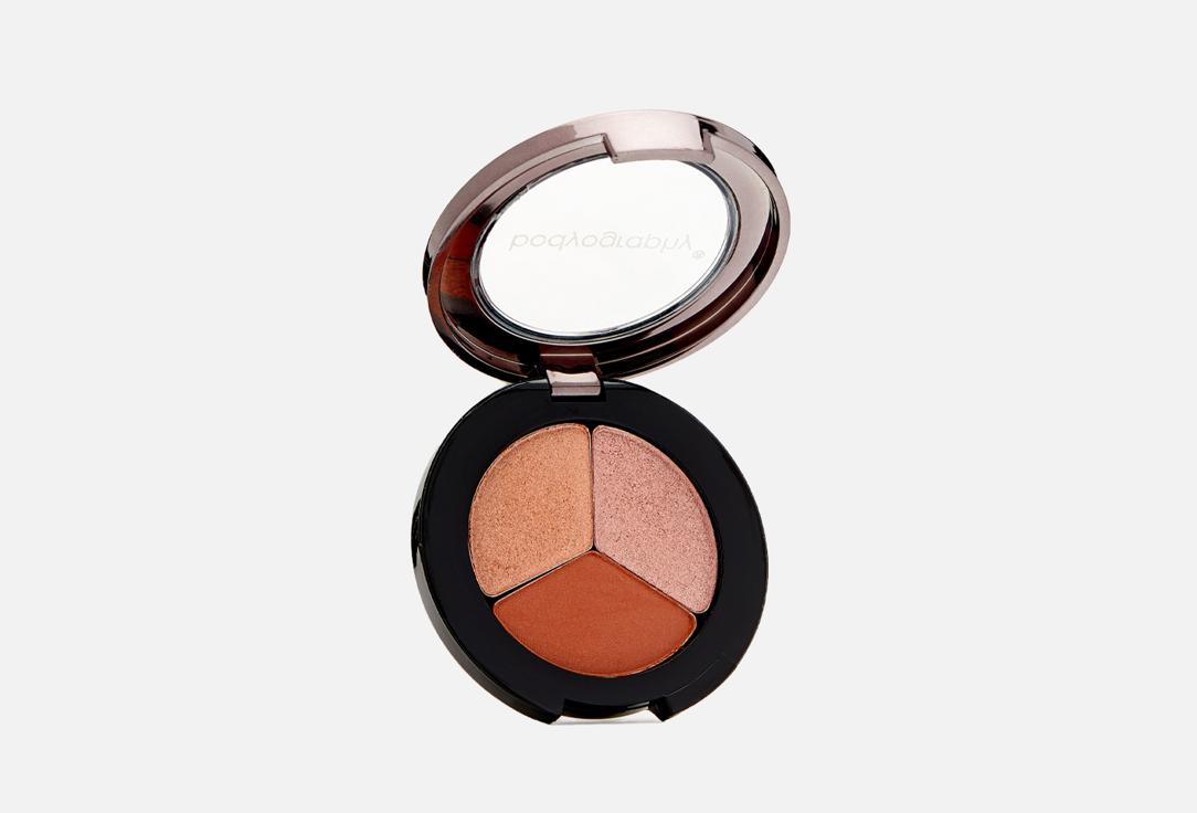 TRIO EXPRESSIONS EYESHADOW. Цвет: Brown Eye