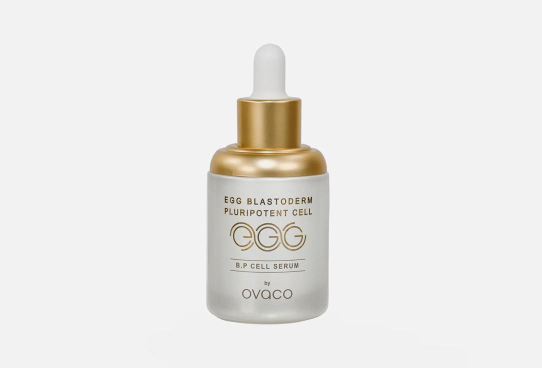 EGG B.P Cell Serum. 50 мл