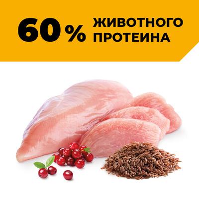 https://petfood24.ru/upload/iblock/009/n1w3z26jues8ws2v5lr9zbtj3whz9icv.jpeg