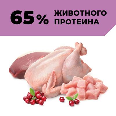 https://petfood24.ru/upload/iblock/b55/fi6bu3zb82hnanpxds672oll0k3p8asu.jpeg