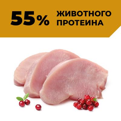 https://petfood24.ru/upload/iblock/ce1/i5feifnx2ao8d00cgbeozq1k8g4vuj4p.jpeg