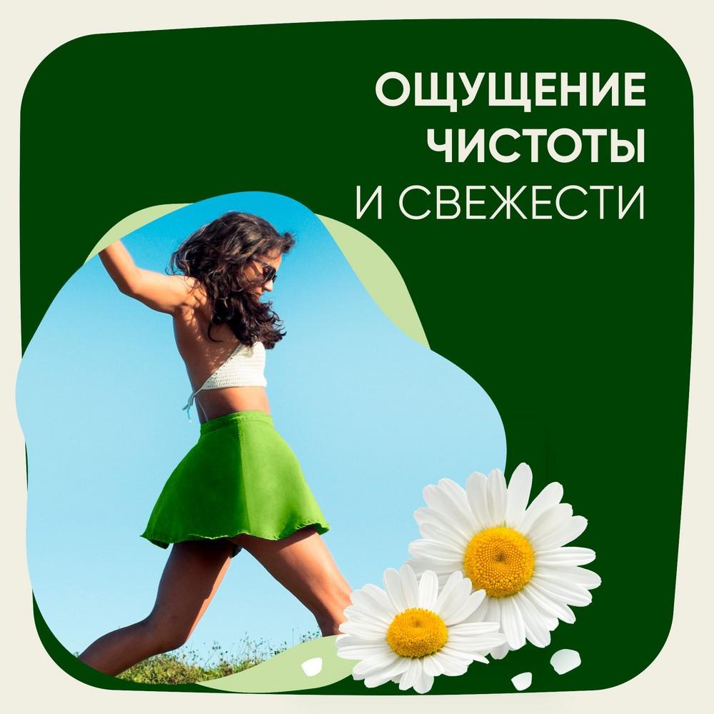 https://s.fstorage.cm.tdera.ru/img/36d7/93/1458c720f53a4819ff319d206b7652cc15d949d2.jpeg