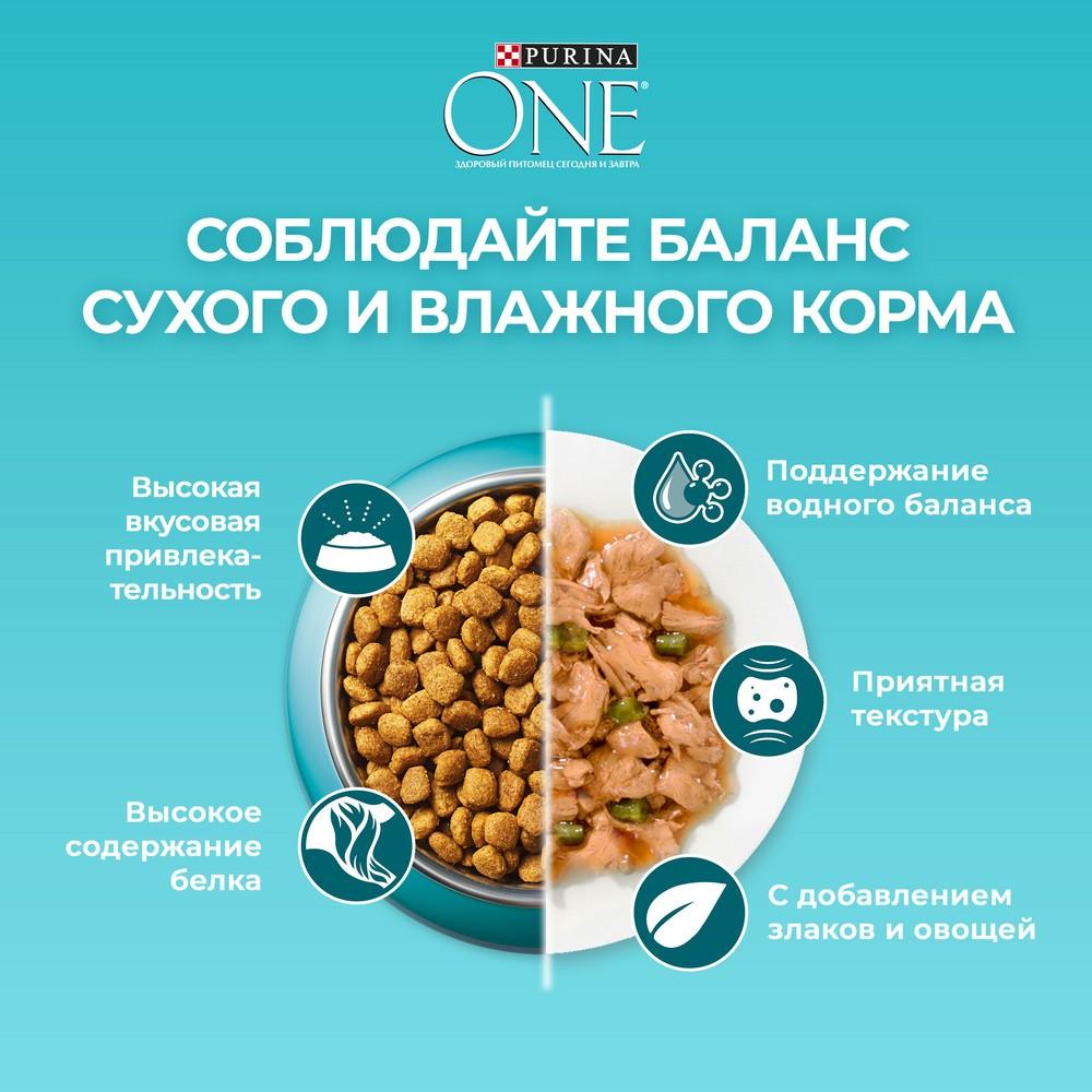 https://s.fstorage.cm.tdera.ru/img/46b8/56/a9f2dbbf672703e2aa5ed35af5c5550a9ec3fa50.jpeg