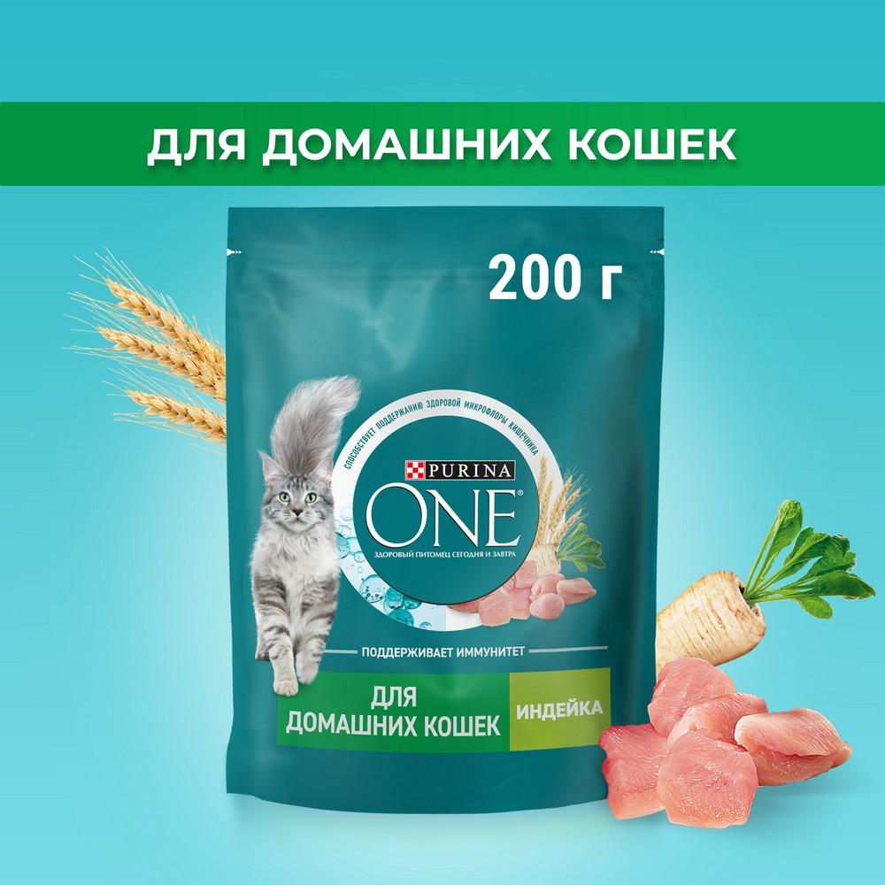 https://s.fstorage.cm.tdera.ru/img/46d3/e5/21664bb254ef6bd238d4387ded2816ec0bf7fda6.jpeg