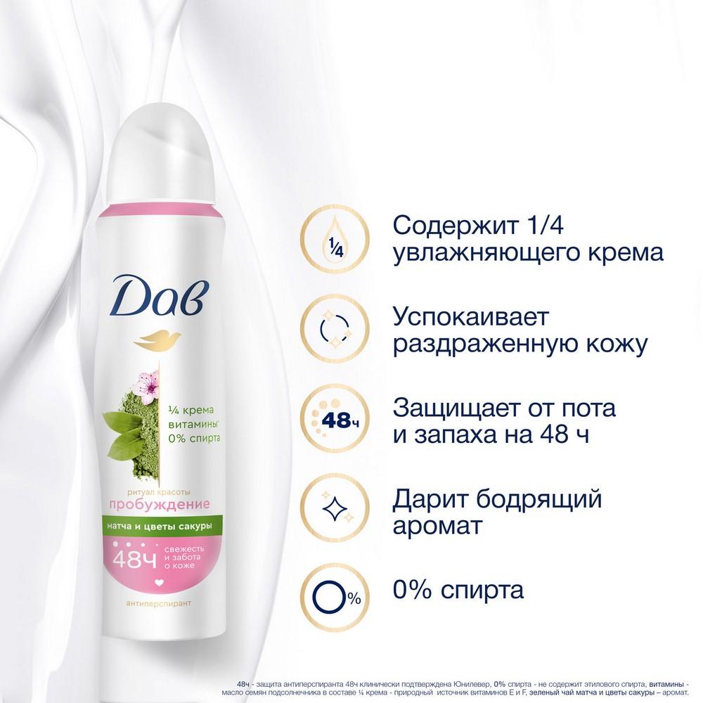 https://s.fstorage.cm.tdera.ru/img/48b8/cc/15d20dc6b3208e7cf76e0f241bc8913253aad1e6.jpeg