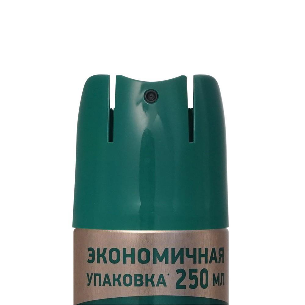https://s.fstorage.cm.tdera.ru/img/67c6/0d/a00a7d232e5a5cb7d8a2fa132f3c12a48dce45dc.jpeg