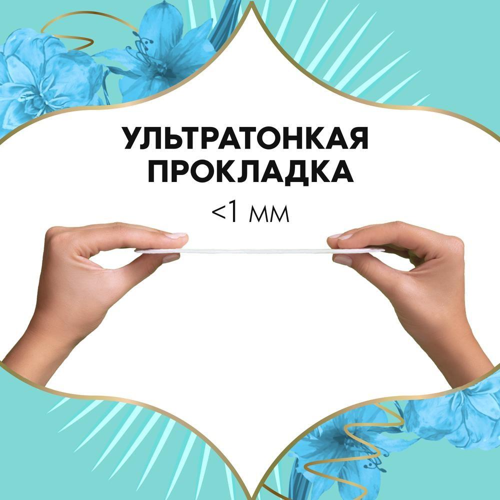 https://s.fstorage.cm.tdera.ru/img/7f13/2e/79ecc61cb27aa05c55ee5030b99ead94218dd432.jpeg