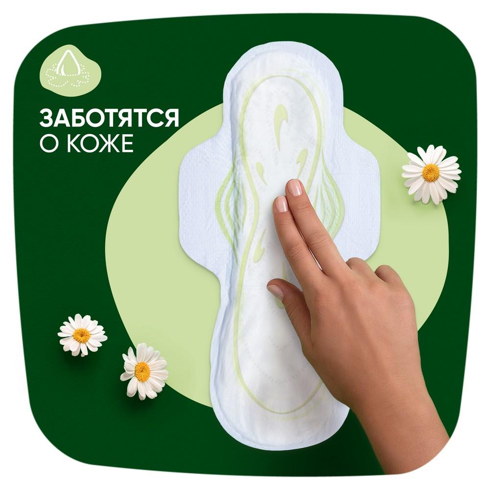 https://s.fstorage.cm.tdera.ru/img/9184/2f/725e56464926163088d85acfc661db0f744d0218.jpeg