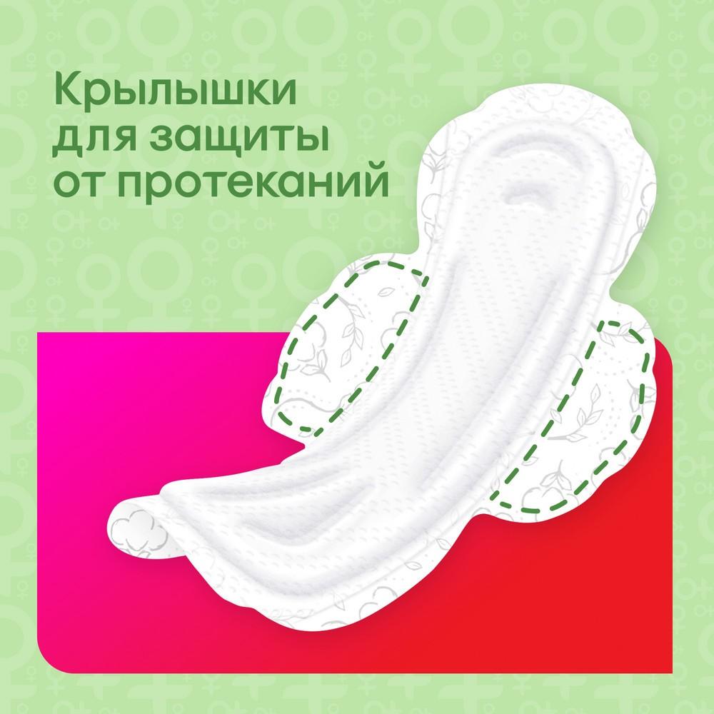 https://s.fstorage.cm.tdera.ru/img/9fe5/91/e82f30f0641f10fb1c916937c508bf6b6295d985.jpeg