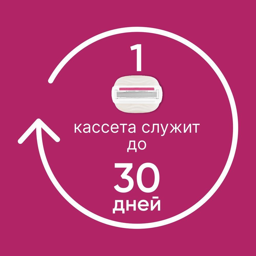 https://s.fstorage.cm.tdera.ru/img/af99/c5/51dc58f55687ff763f5c2afbc2e1f2c337378811.jpeg