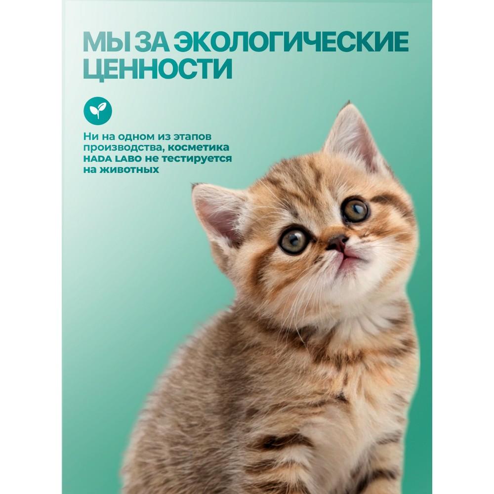 https://s.fstorage.cm.tdera.ru/img/c0e9/65/559ff1d081e19b5be5594ddb78061733737c73e0.jpeg
