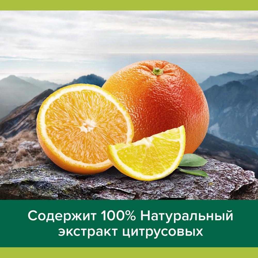 https://s.fstorage.cm.tdera.ru/img/ccaa/e2/921a1d19082934648011222e93829bf5485573b7.jpeg