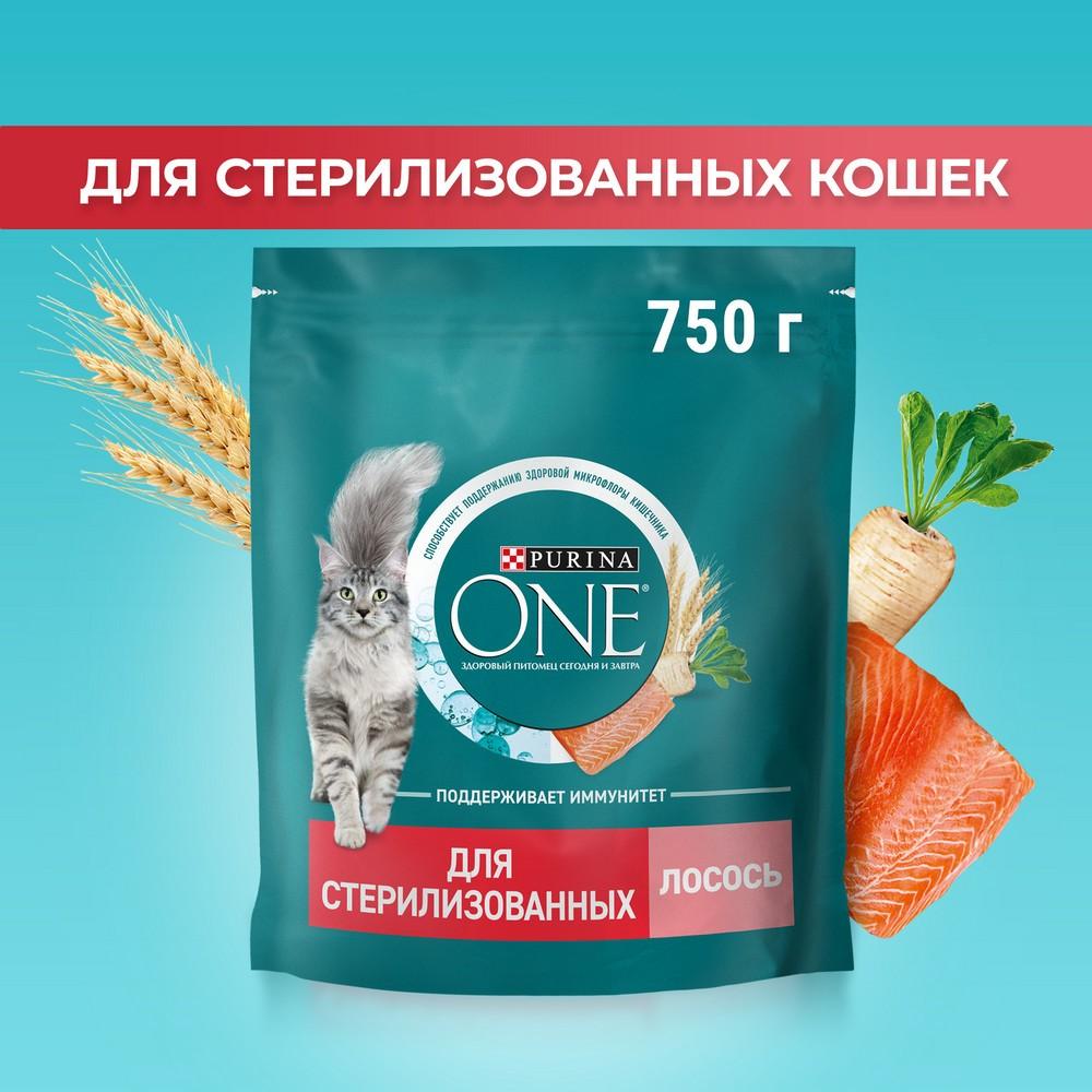 https://s.fstorage.cm.tdera.ru/img/cfdc/c9/5dc41872ff8a299f39ba13b74e02a0fb5ef5dcd9.jpeg