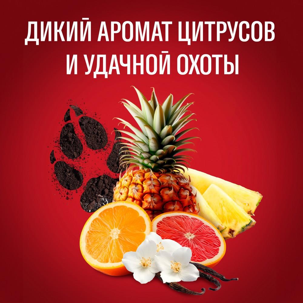 https://s.fstorage.cm.tdera.ru/img/d302/87/ab36d0d215c693d38e1c962a8fc2595f14ba3852.jpeg