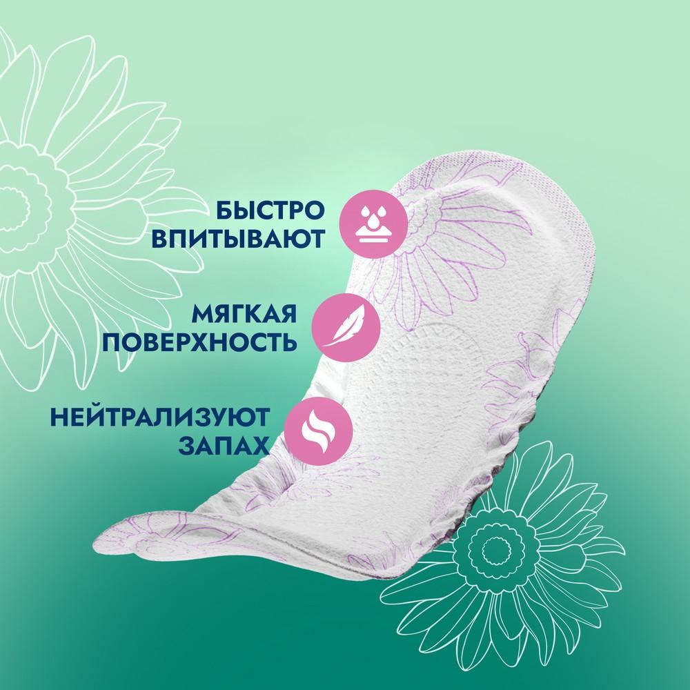 https://s.fstorage.cm.tdera.ru/img/e4dd/ef/d9599b32e7dabd319f74320349294c7485d29e50.jpeg
