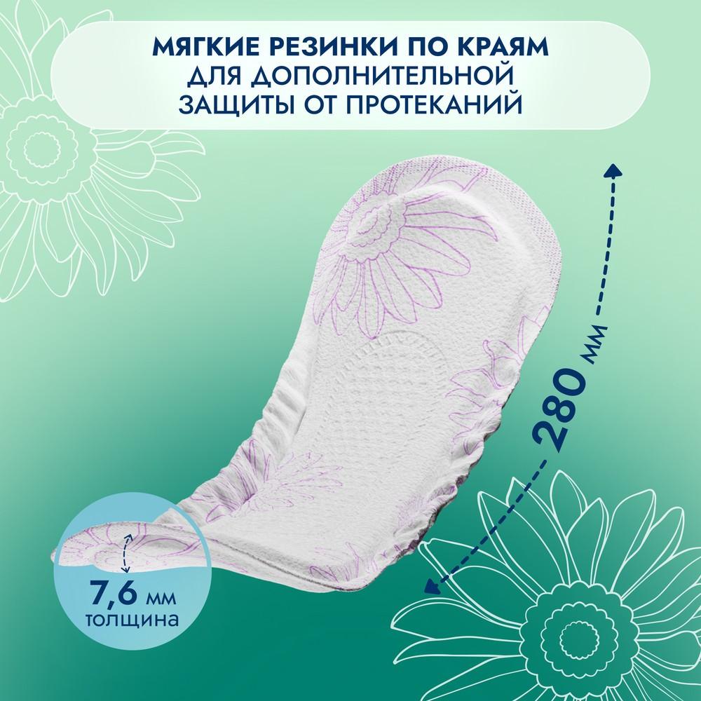 https://s.fstorage.cm.tdera.ru/img/f88b/3e/7611652ed98c1f66413335c982537389e66d24fe.jpeg