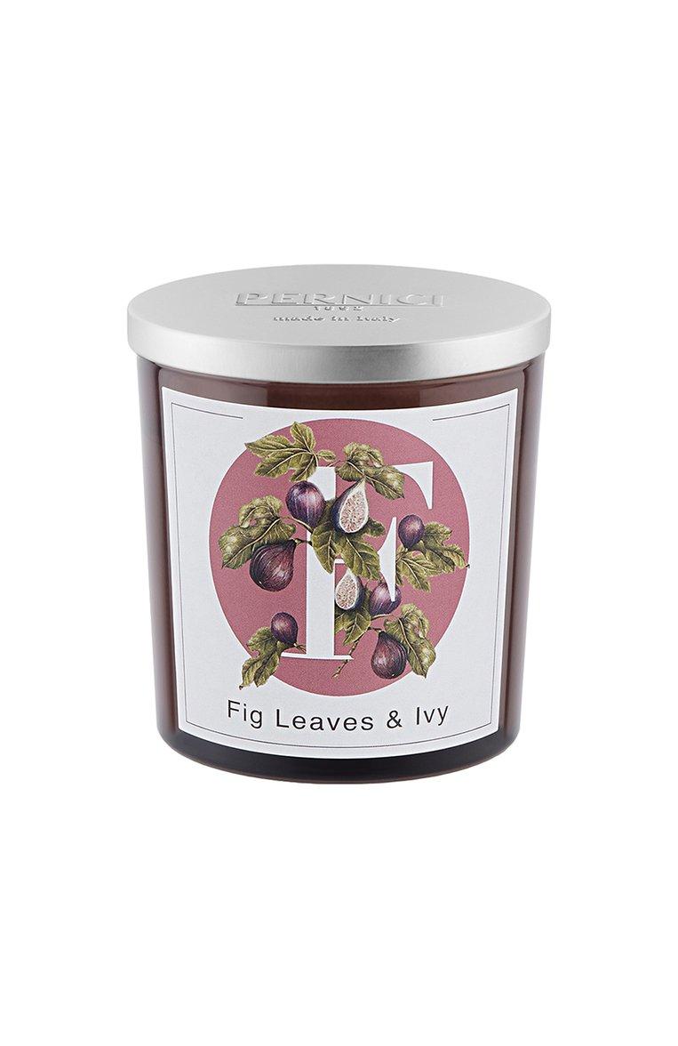 Свеча Fig Leaves & Ivy (350g)