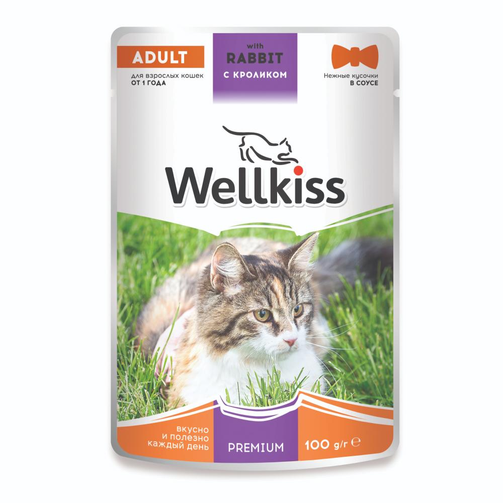 Wellkiss Adult Влажный корм (пауч) для взрослых кошек, с кроликом в соусе, 100 гр.