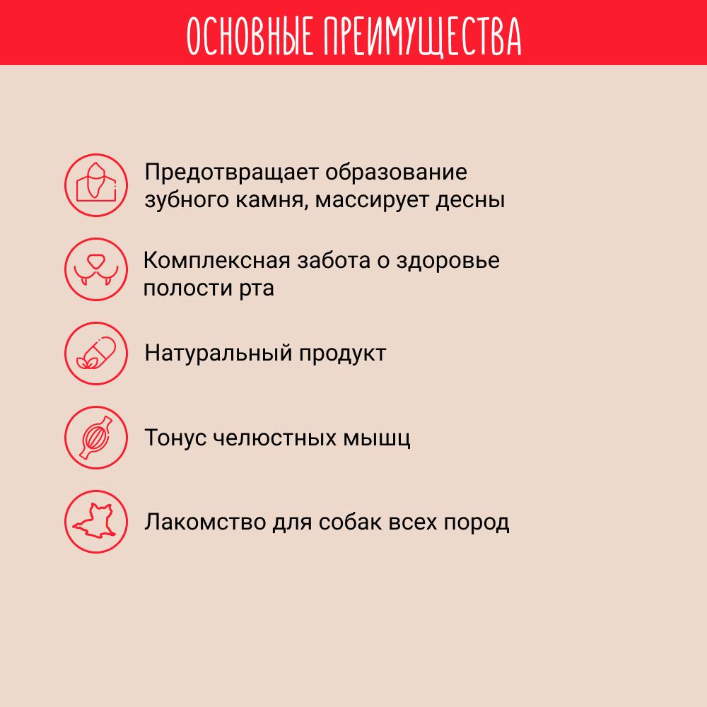 https://storage.yandexcloud.net/pim-core/126955.jpeg
