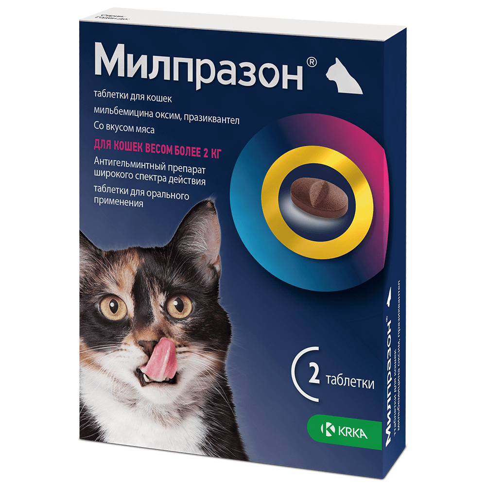 https://storage.yandexcloud.net/pim-core/312664.png