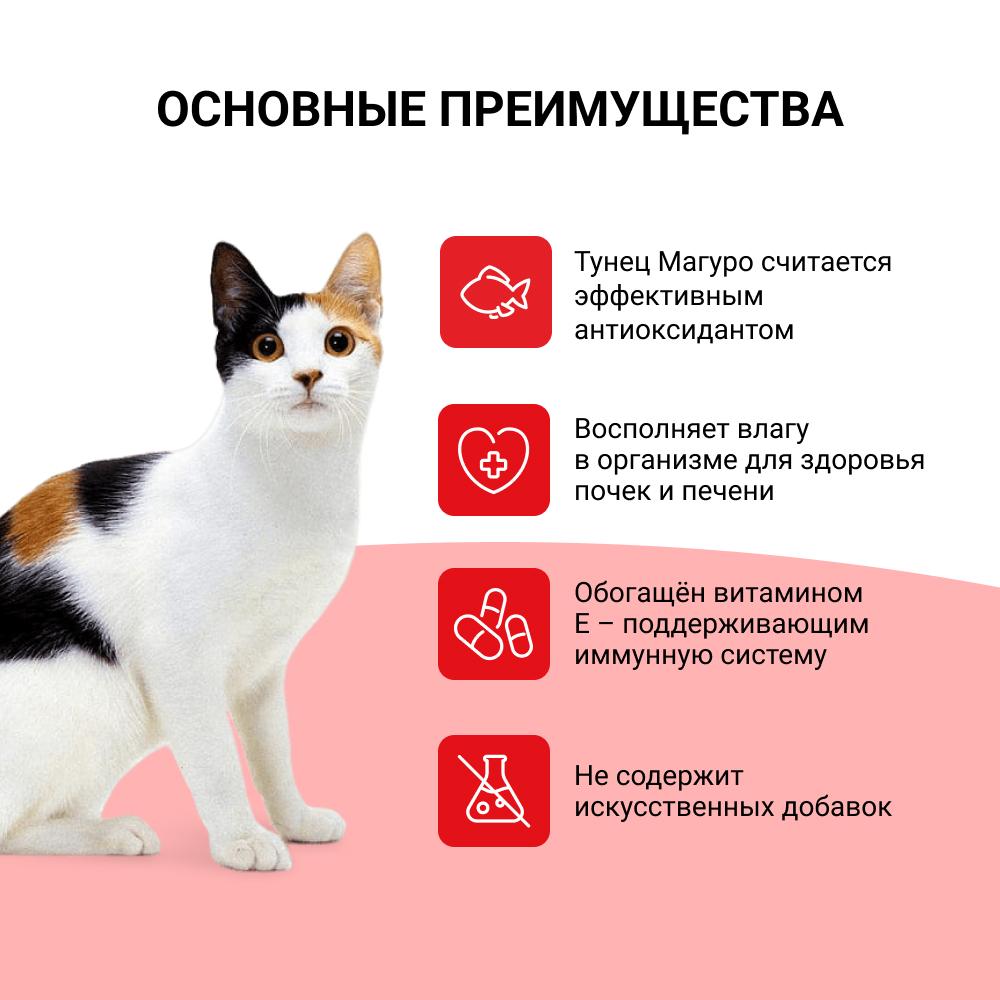 https://storage.yandexcloud.net/pim-core/313182.jpeg